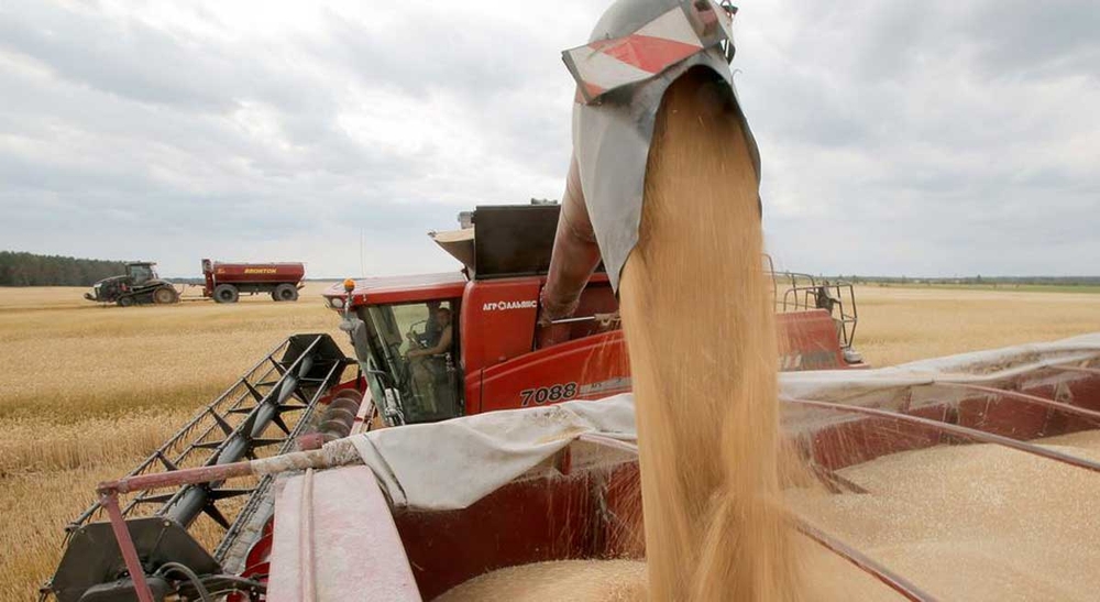 img of The Starvation Gambit: How Western Funding Cuts Weaponize Hunger Against the Global South