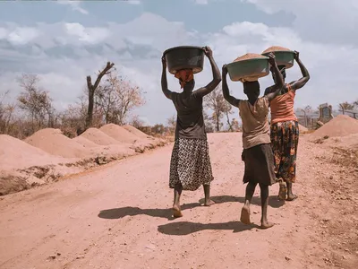 img of The $800 Million Illusion: How Erratic US Aid Perpetuates Global Dependency and Hunger