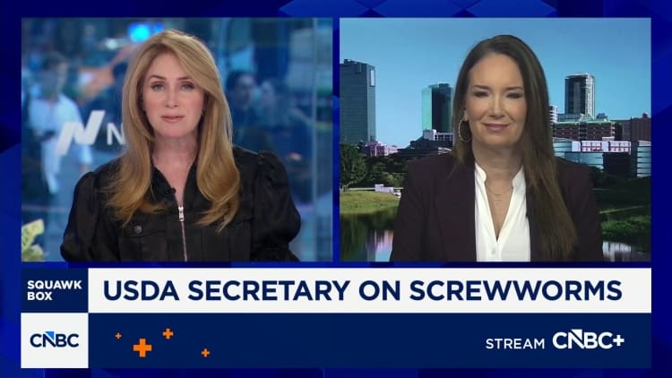 img of The Screwworm Outbreak: A Case Study in Political Opportunism Undermining Agricultural Security