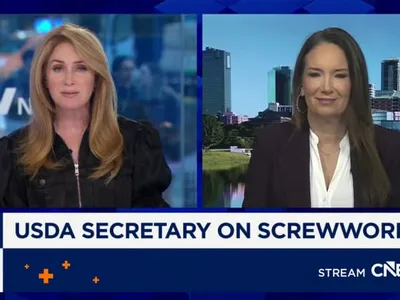 img of The Screwworm Outbreak: A Case Study in Political Opportunism Undermining Agricultural Security