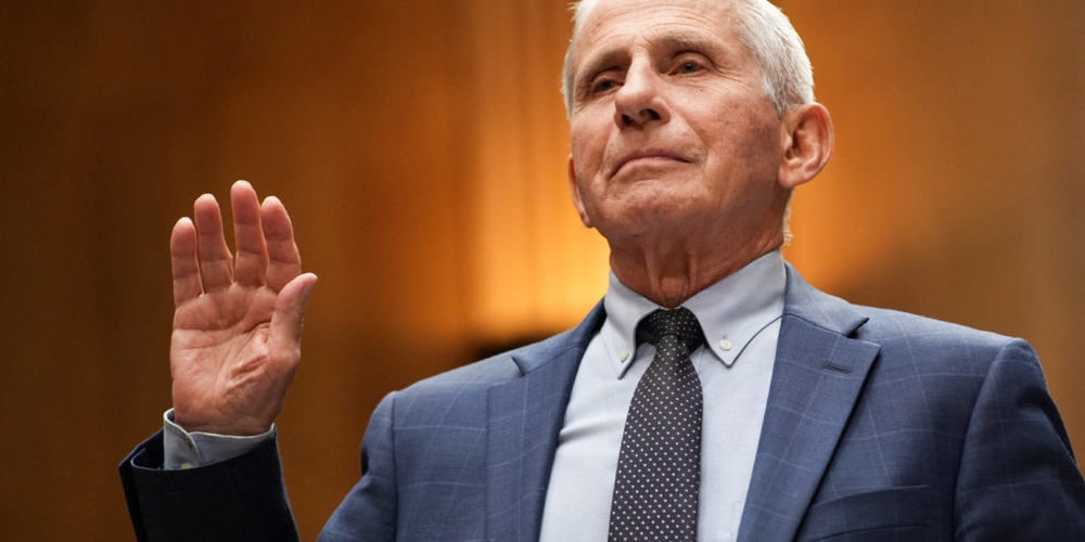 img of The Fauci Inquisition: A Partisan Assault on Expertise and the Fifth Amendment