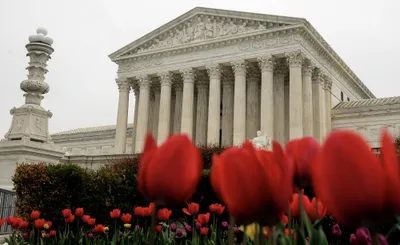 img of Defending Dignity: California's Strategic Counterattack Against Conversion Therapy Malpractice