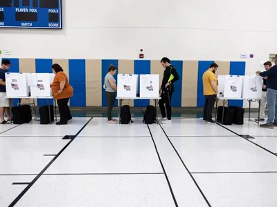 img of The Loyalty Litmus Test: How Primary Purges Threaten the Foundation of American Democracy