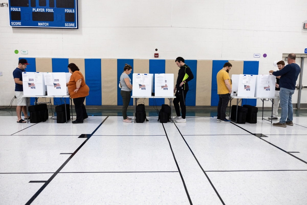 img of The Loyalty Litmus Test: How Primary Purges Threaten the Foundation of American Democracy