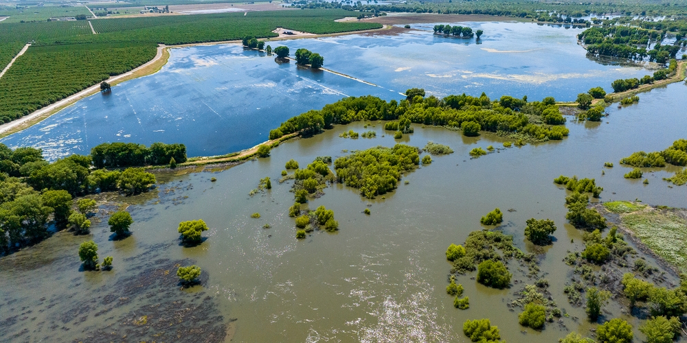 img of The Silent Crisis: How Staffing Shortages Are Crippling America's Wildlife Refuges