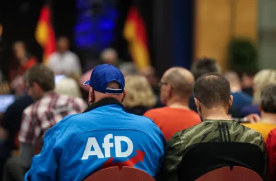 img of Germany's Democratic Crisis: The AfD Surge and the Failure of Western Neoliberalism
