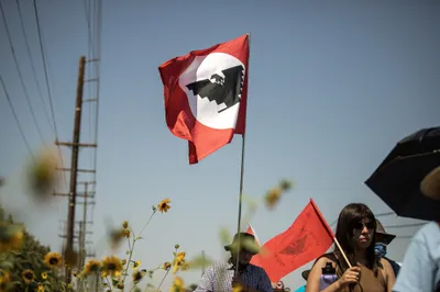 img of Corporate Power vs. Worker Democracy: The Ongoing Battle for Farmworker Rights