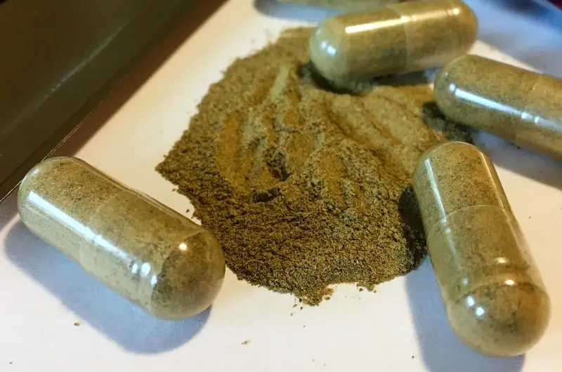 img of A Preventable Tragedy: The Kratom Debate in Mississippi and the Urgent Need for Principled Governance