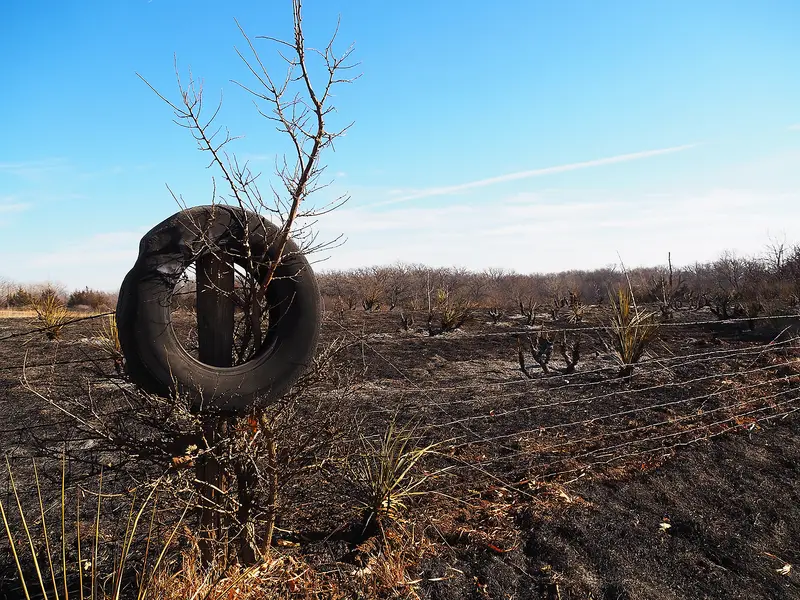 img of The Gathering Storm: Missouri's Emerging Wildfire Crisis and the Urgent Need for Utility Accountability