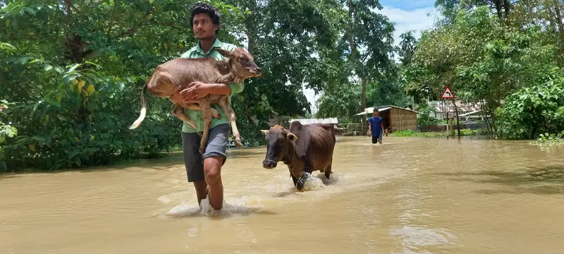 img of The World Bank's Climate Retreat: A Calculated Betrayal of India's Most Vulnerable