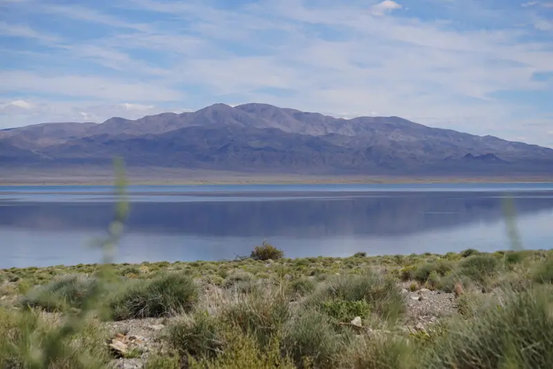 img of The Unmistakable Voice of the West: A Bipartisan Roar for Conservation