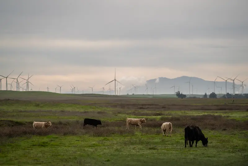 img of The Corporate Siege of Solano County: How 'California Forever' Threatens Democratic Governance