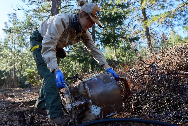 img of The Silent War on California's Ecosystems: How Illegal Cannabis Farms Are Decimating Our Natural Heritage