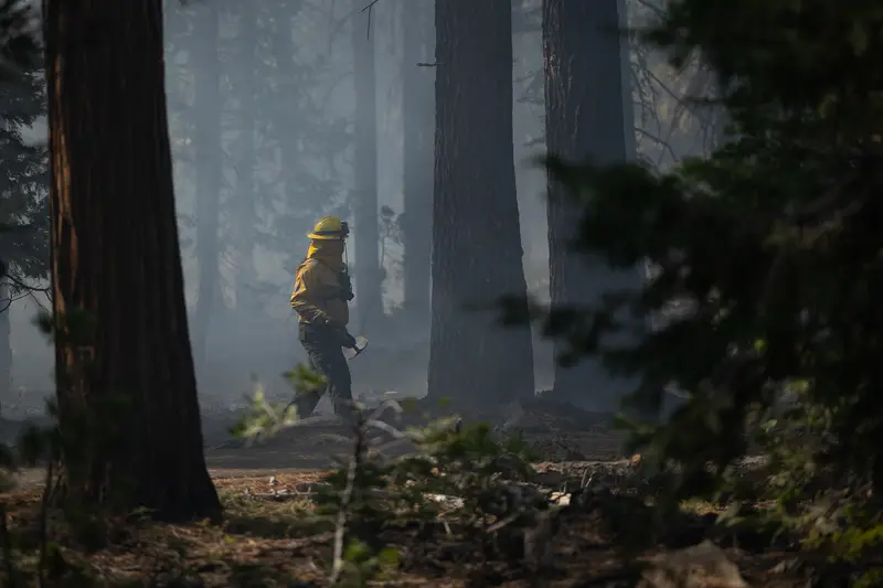 img of A Tipping Point in the Flames: California's Wildfire Progress is Real, and Now it is Under Threat
