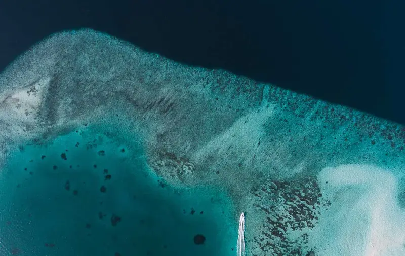 img of The Ayungin Shoal Incident: A Provocation Scripted in the Halls of Neo-Colonial Power
