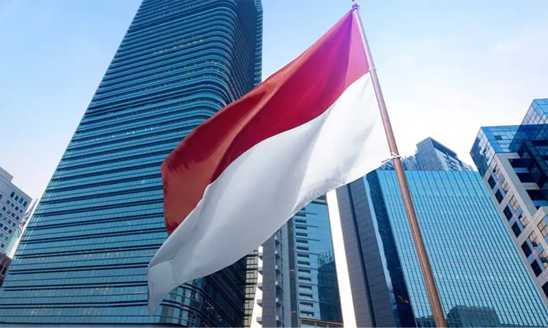 img of Nickel's Double-Edged Sword: Indonesia's Sovereignty Battle in the Green Energy Age