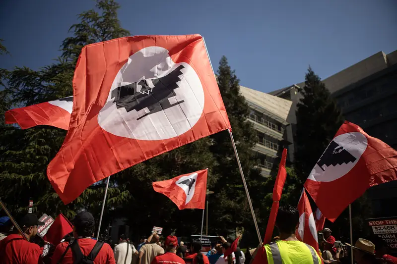 img of The Betrayal of American Values: Wage Suppression for Immigrant Farmworkers