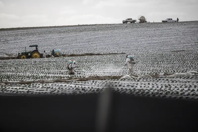 img of The PFAS Betrayal: How Regulators Are Actively Poisoning America's Food and Water