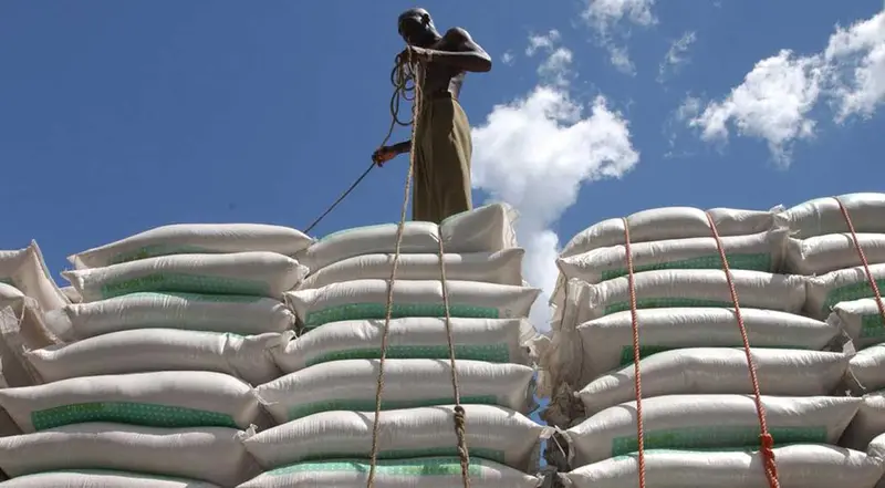 img of Beyond the Price Dip: The Fragile Calm in Global Food Markets and the Imperative for Southern Sovereignty