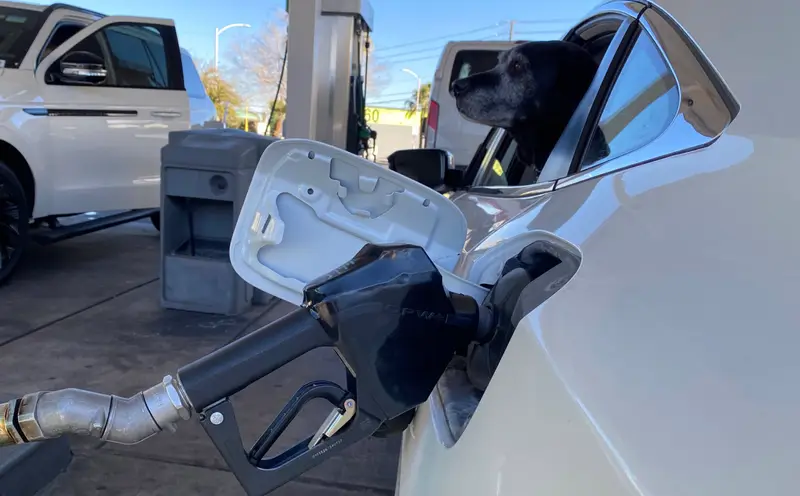 img of The Great Disconnect: Political Promises on Gas Prices Collide with Cold, Hard Data