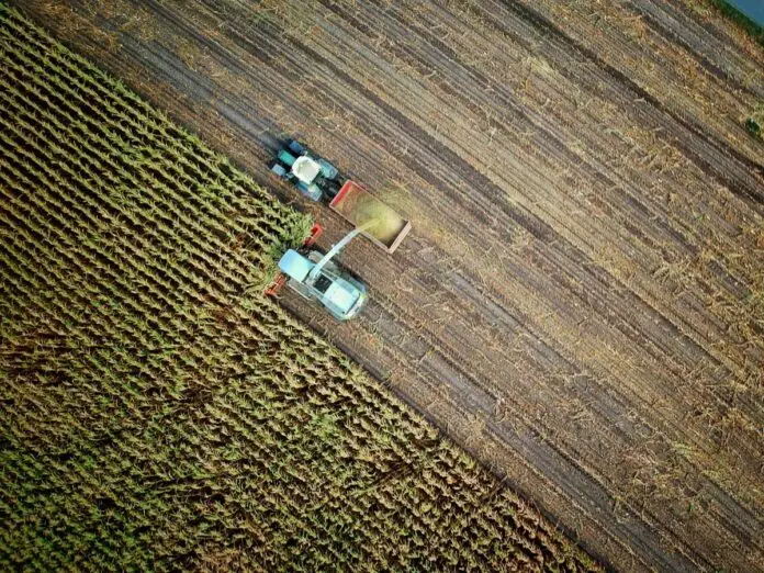 img of Chokehold of Empire: How Geopolitics in the Strait of Hormuz Threatens a Global Food Catastrophe