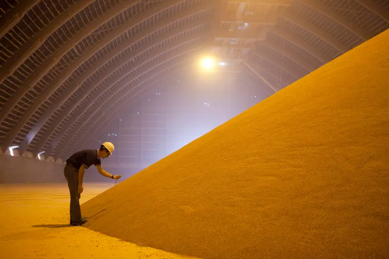 img of The Potash Predicament: A Metaphor for Imperial Overreach and Strategic Myopia