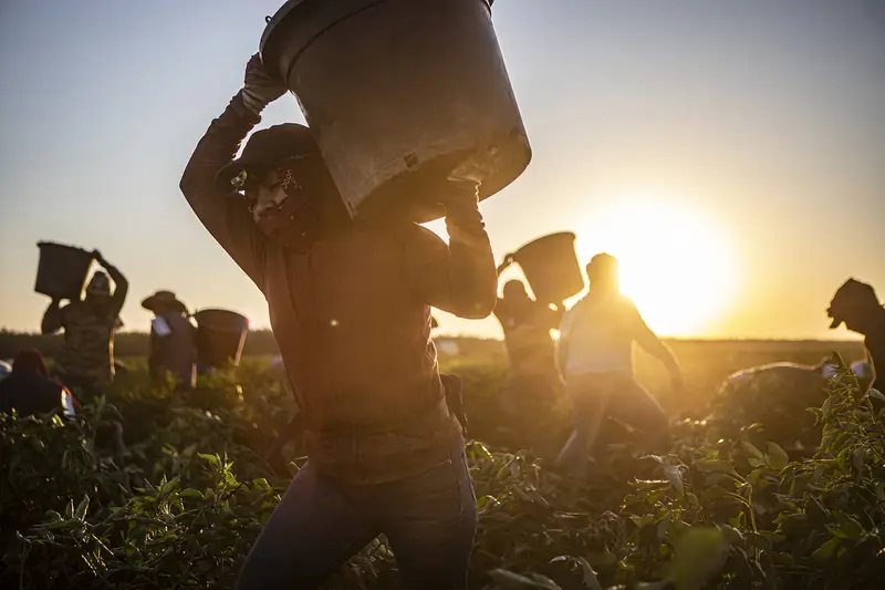 img of The Human Cost of Fear: How Immigration Policies Are Denying Healthcare to California's Farmworkers