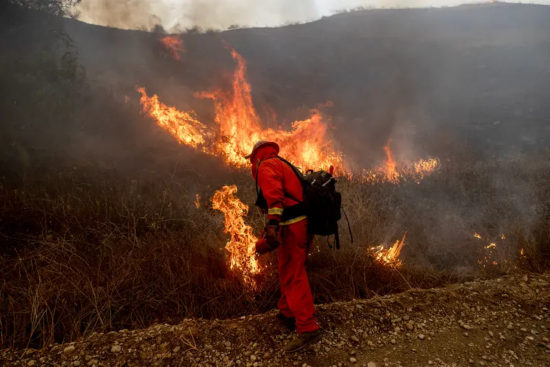 img of Valor Behind Bars, Barriers Beyond: California's Incarcerated Firefighters and the Long Road to Justice