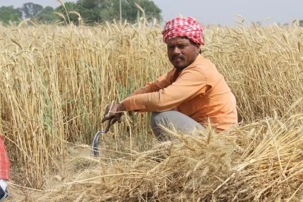 img of The Environmental Apartheid: How Economic Liberalization Perpetuates Climate Injustice in India