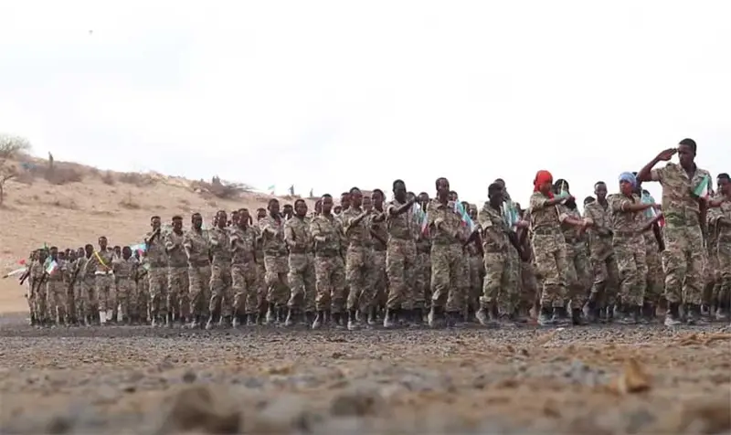img of The Jigjiga Detentions: Unmasking the Neo-Colonial Chess Game in the Horn of Africa