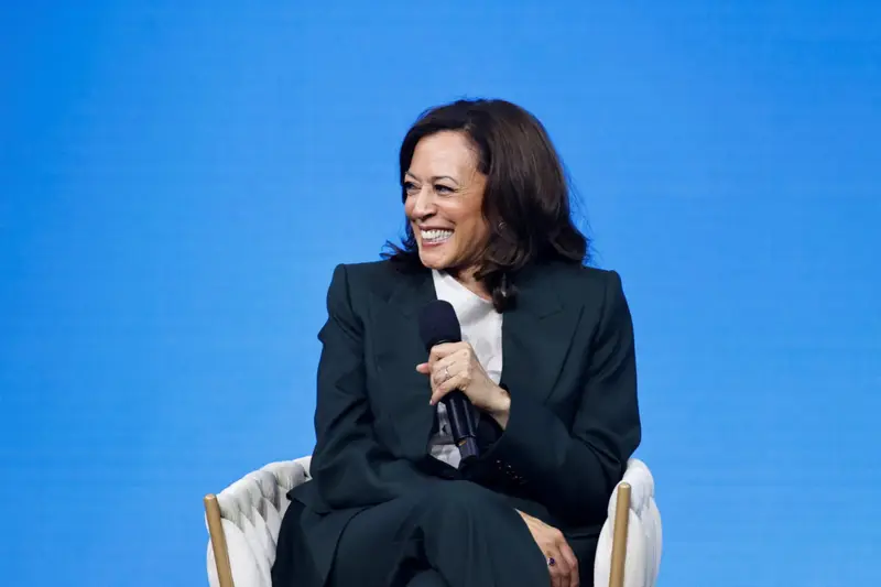 img of The Kamala Harris Conundrum: Campaigning Through a Crucible of Division and Democratic Stress