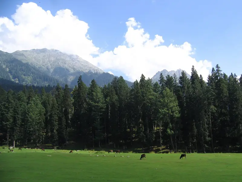 img of The Sindoor Mirage: How Security-Centric Governance Perpetuates Conflict in Kashmir