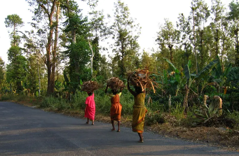 img of The Idukki Catastrophe: A Colonial Landslide, A Modern Massacre