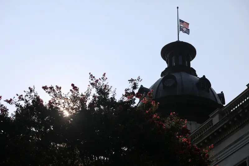 img of The Palmetto Precipice: South Carolina's Senate Scramble and the Test of Democratic Resilience