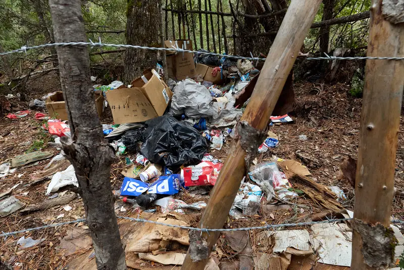 img of The Silent Crisis: How Illegal Cannabis Grows Are Poisoning California's Public Lands