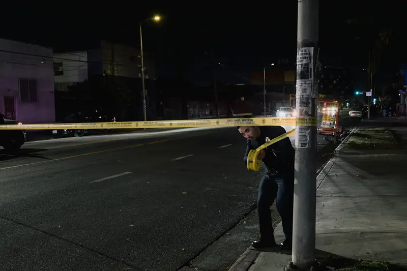 img of The Pendulum of Panic: How Crime Terrorized California's Democracy and Reshaped Justice