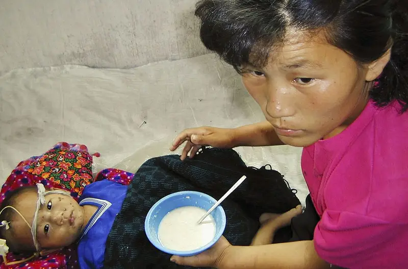 img of Beyond the Headlines: The Human Face of North Korea and the Moral Bankruptcy of Geopolitical Food Warfare