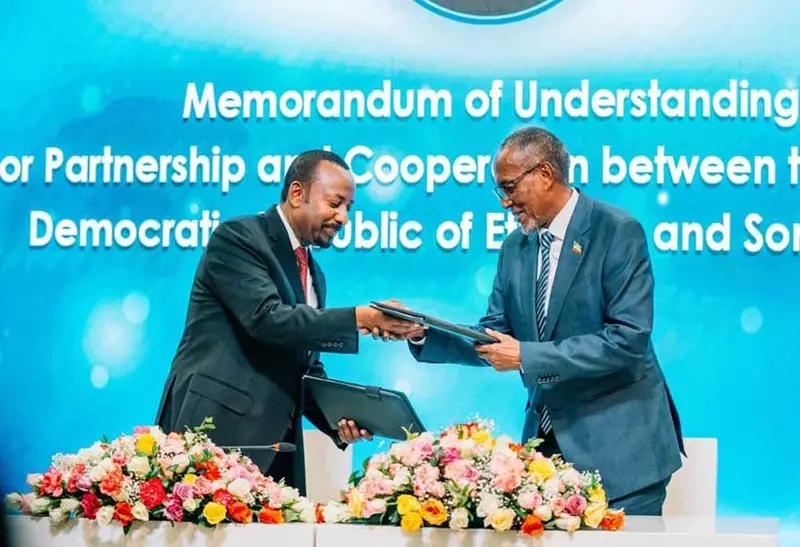 img of Maritime Strife in the Horn of Africa: When Infrastructure Deepens Division