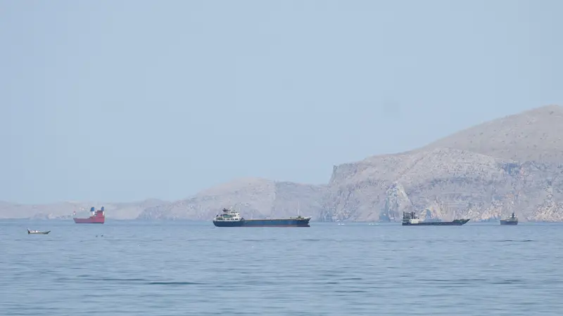 img of The Iranian Crucible: How Western-Generated Conflict Threatens Global Energy Security and the Development of the Global South