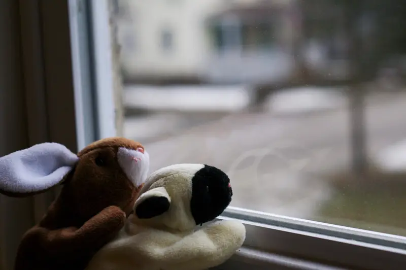 img of The Housing Crisis Destroying American Families: How Child Welfare Systems Punish Poverty Instead of Providing Solutions