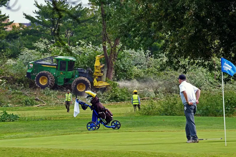 img of The Clear-Cut Prelude: How Bureaucratic Stewardship is Being Weaponized for a Presidential Golf Course