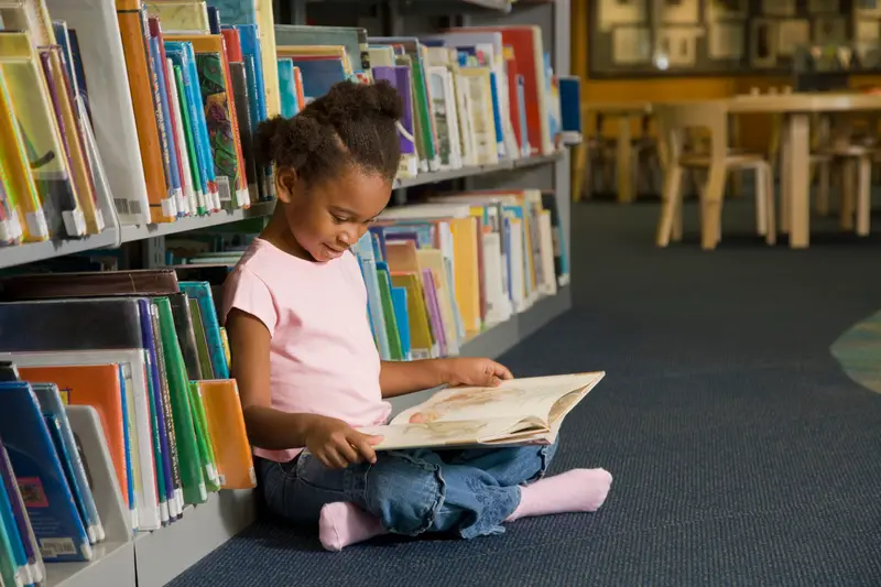 img of The Assault on America's Civic Mind: Why Defunding Libraries and Museums is an Attack on Democracy Itself