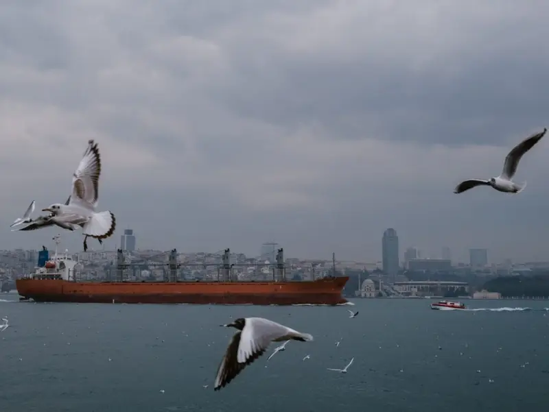 img of The Strait of Turbulence: How a Chokepoint Crisis Exposes the Structural Chains on Turkey's Ascent