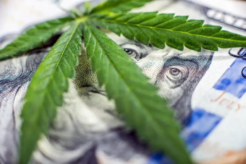 img of The Dawn of Sanity: Trump's Cannabis Rescheduling Order Brings Missouri Businesses Long-Overdue Relief