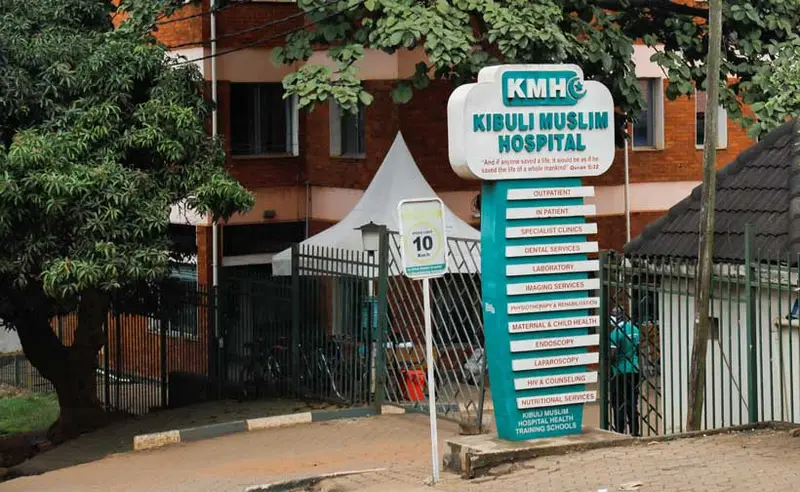 img of The 17th Plague: The Ebola Emergency and the Systemic Betrayal of the Global South