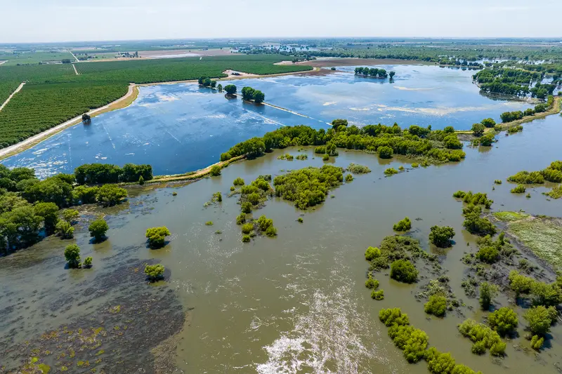 img of The Silent Crisis: How Staffing Shortages Are Crippling America's Wildlife Refuges